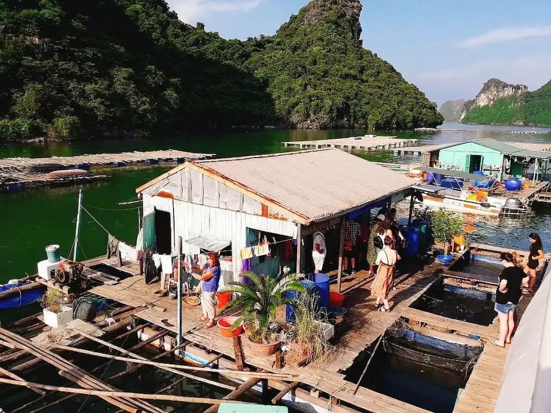 Tourists Visiting a Floating Fishing House and Fish Farms in Lan Ha Bay Surrounded by Green Water and Karst Hills