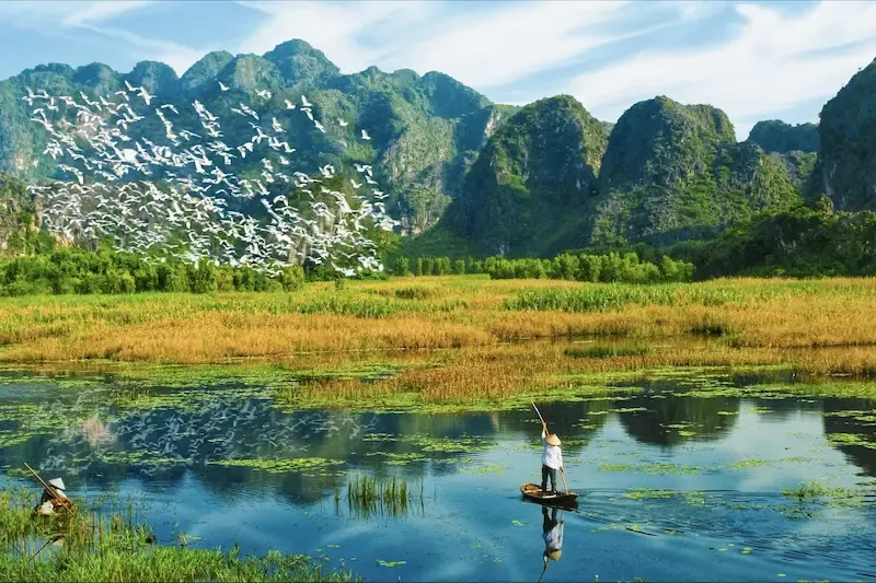 Van Long Nature Reserve   the Least Touristic Boat Tour Option in Ninh Binh