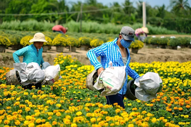 8. Ba Bo Flower Village of Can Tho