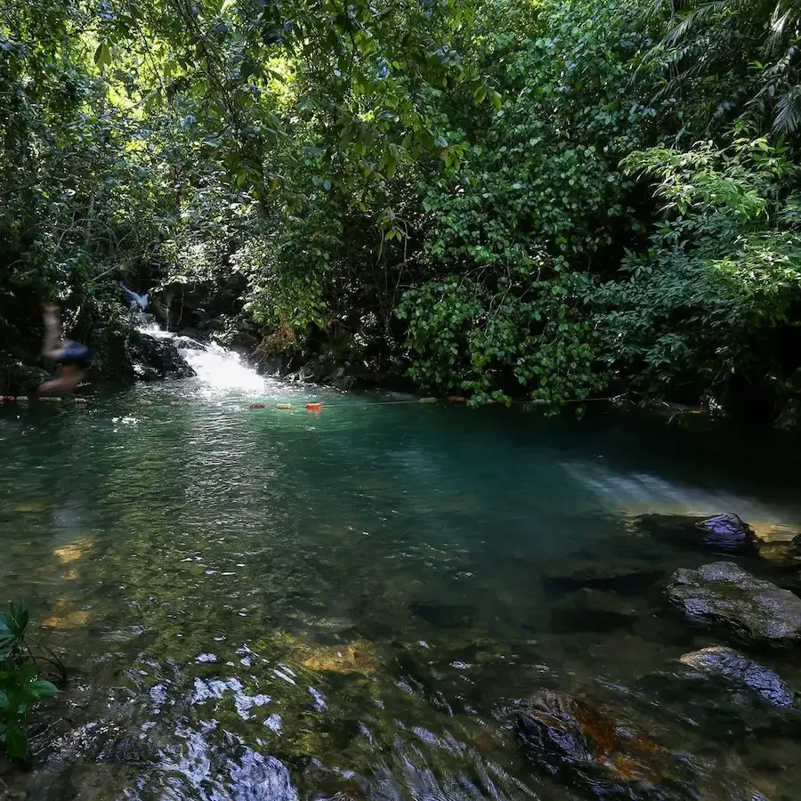 Hồ Vàng Anh nằm dưới rừng cây xanh