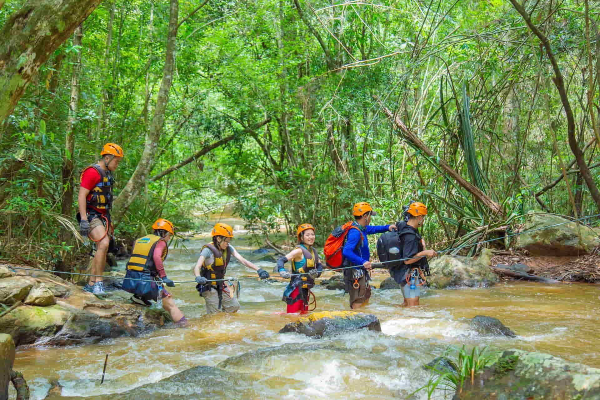 đoàn người trekking trong rừng