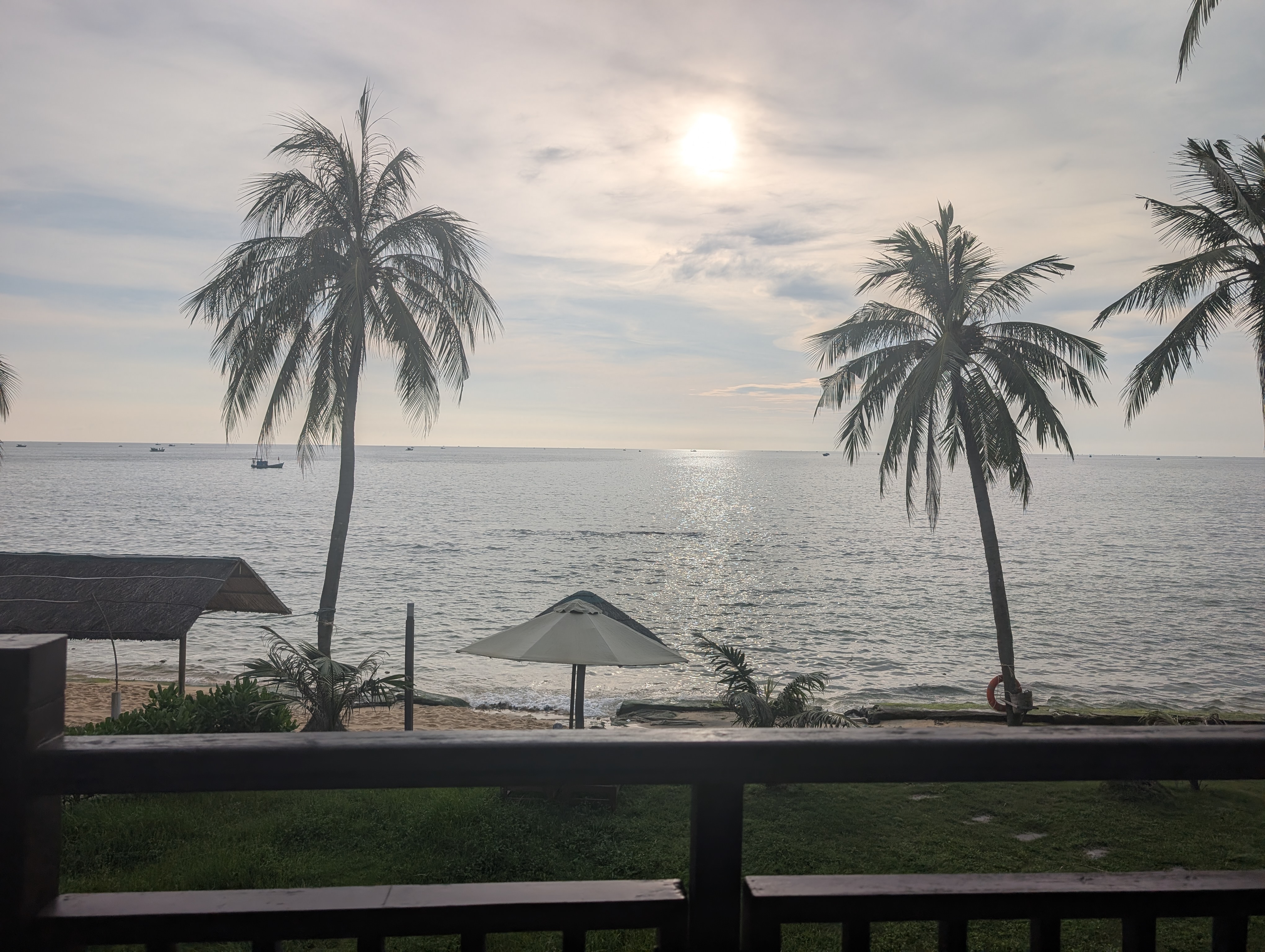 Palms and a still sea at sunset on the central coast