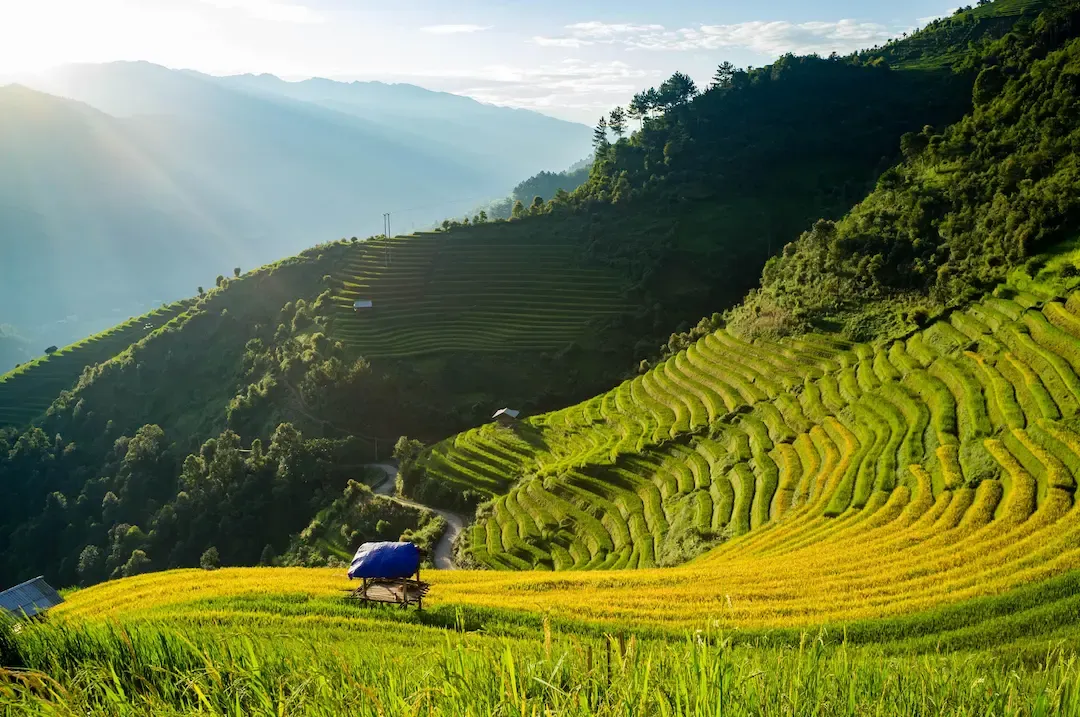 Mu Cang Chai Terraces Are a Sight to Behold