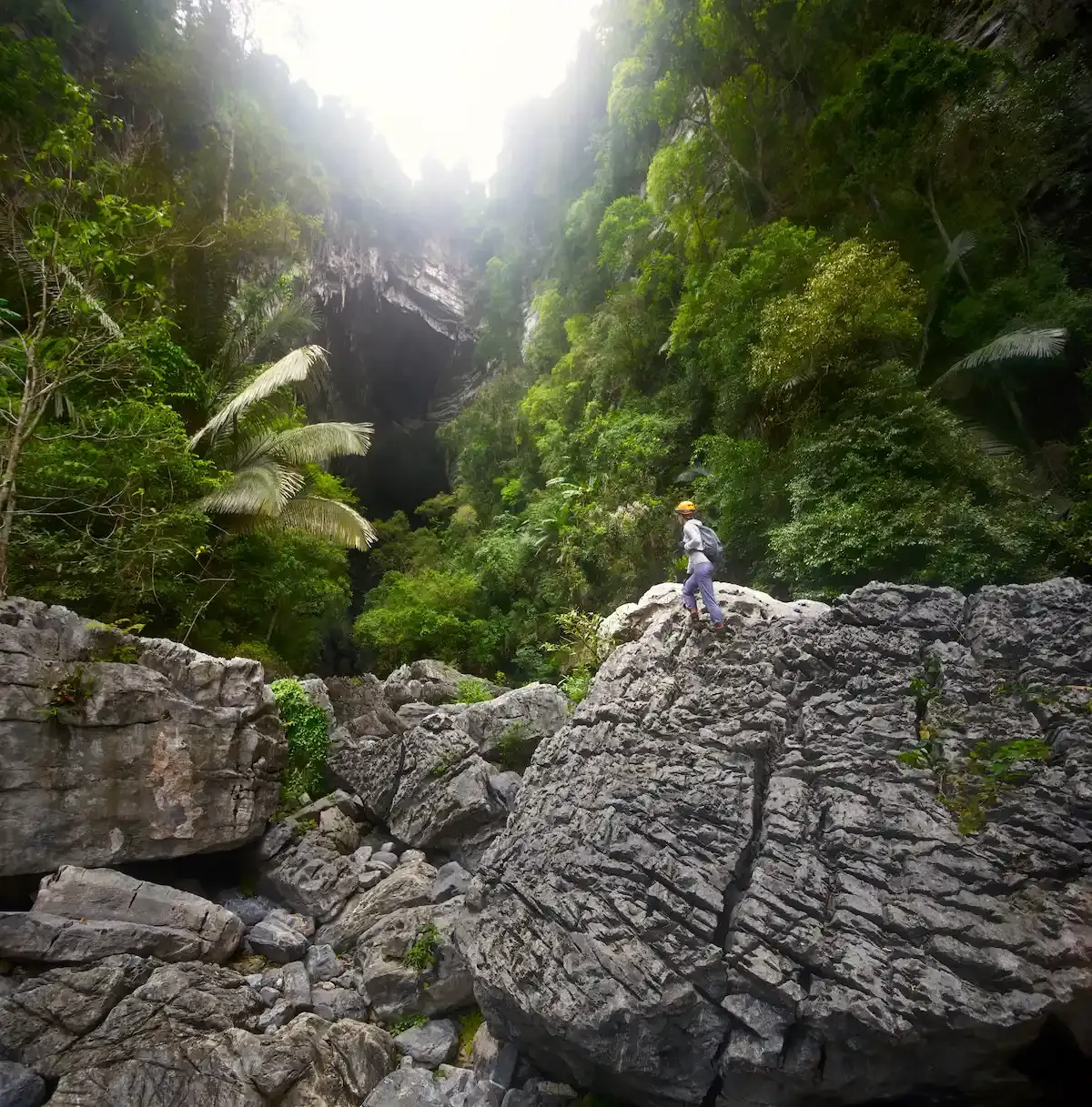 Hiker standing on limestone boulders below the jungle-clad entrance of Tu Lan cave in Phong Nha Ke Bang National Park, Vietnam. 