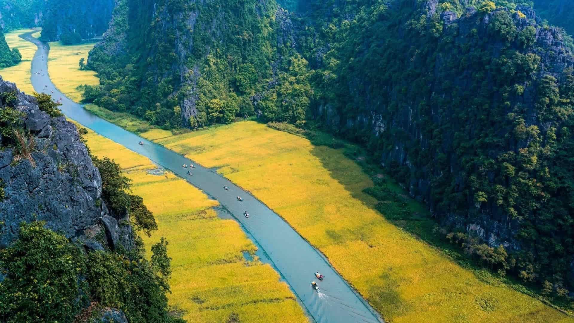 Sông Ngô Đồng Chảy Giữa Khung Cảnh Thiên Nhiên Nhiều Màu Sắc