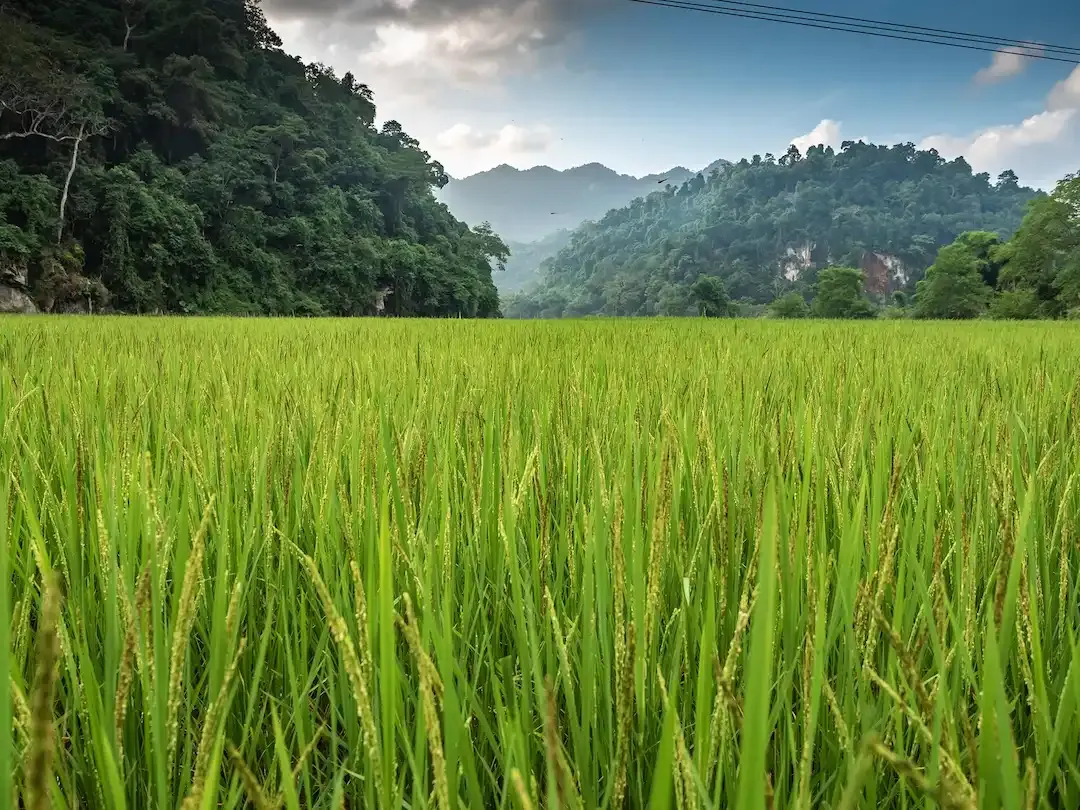 Ba Be National Park of Vietnam