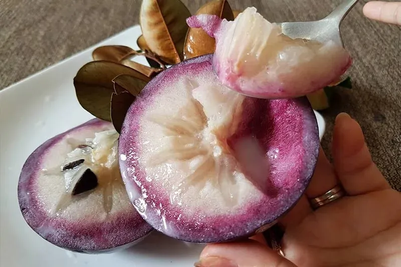 Star Apple or Vu Sua Is a Must Try Fruit of Vietnam