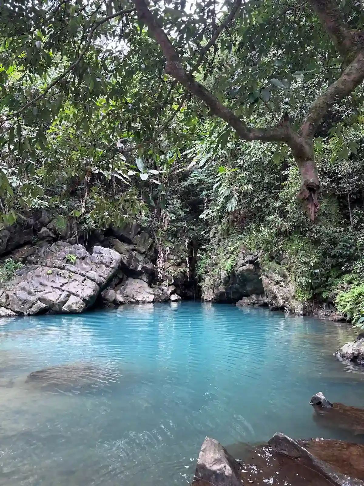 Mada Lake Is Among the Most Bluest Lakes of Vietnam Which Is a Must Visit in Phong Nha for Swimming and Cliff Jumping