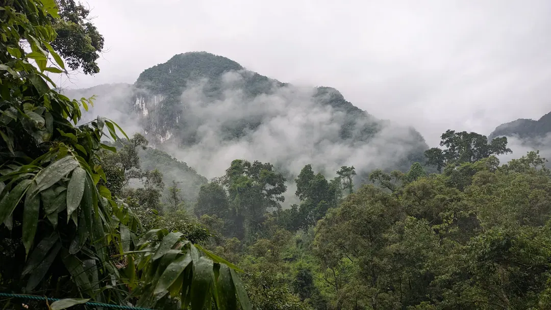 Dense jungle vegetation and limestone karsts surrounding Phong Nha-Ke Bang National Park Vietnam