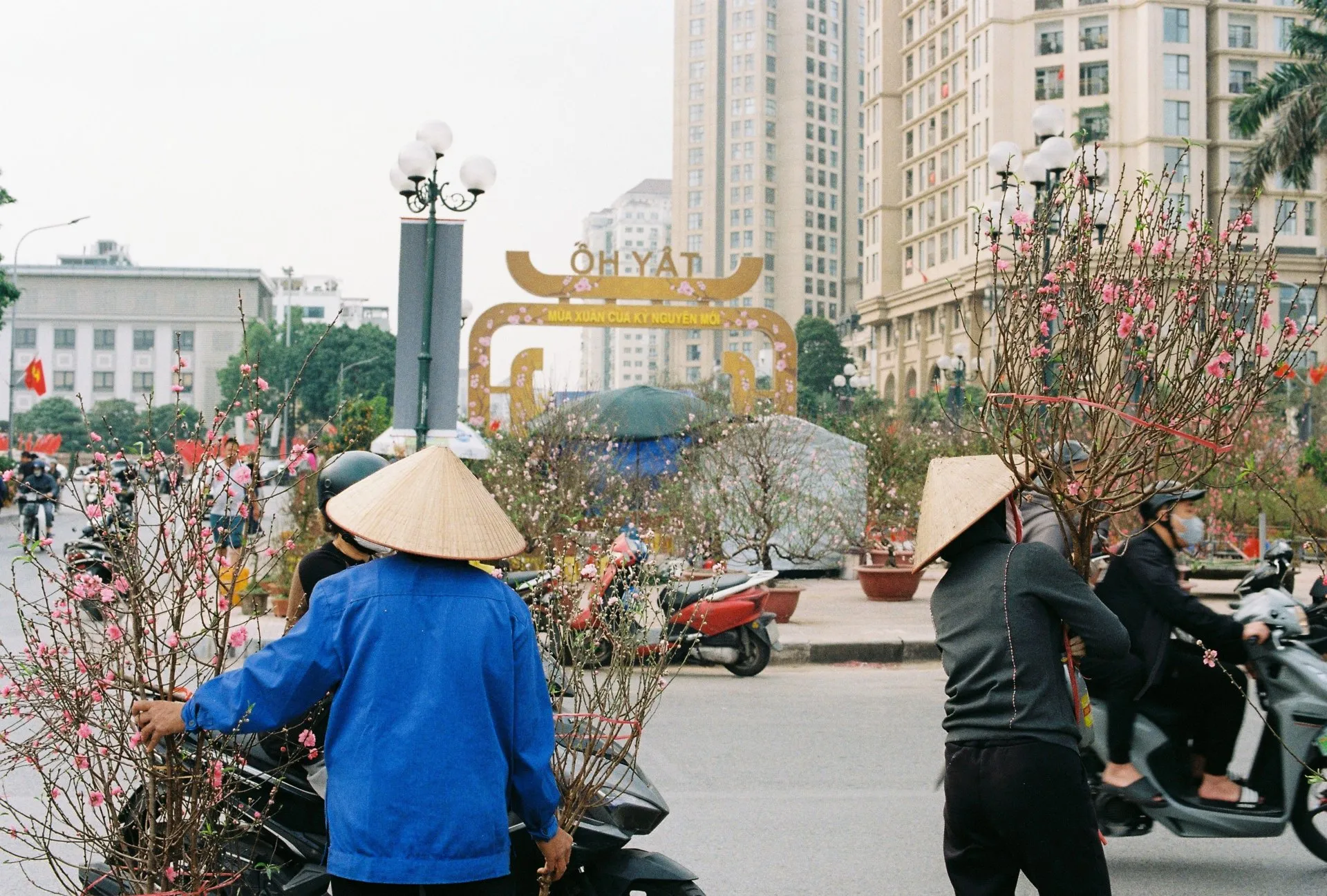 weather in vietnam in january where to go by region