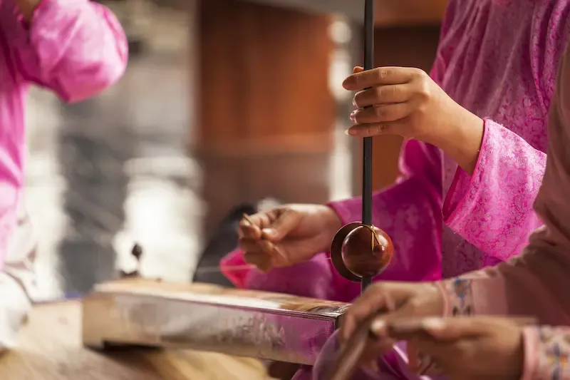 6. Dan Bau or a Monochord