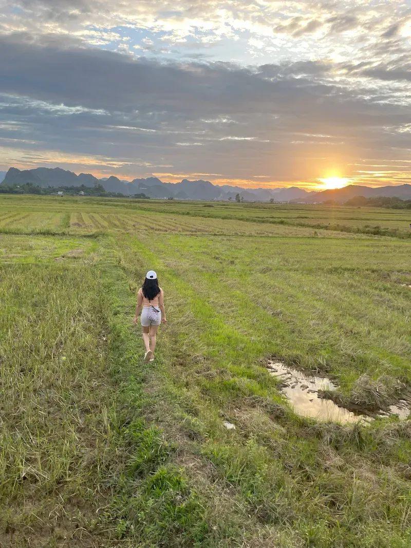 best ways to travel from ninh binh to phong nha