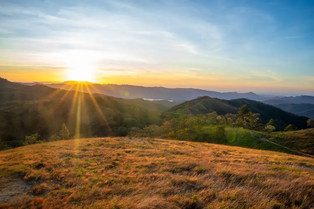 Scenic sunrise over the rolling golden grass hills and pine forests along the Ta Nang Phan Dung trekking route in Vietnam