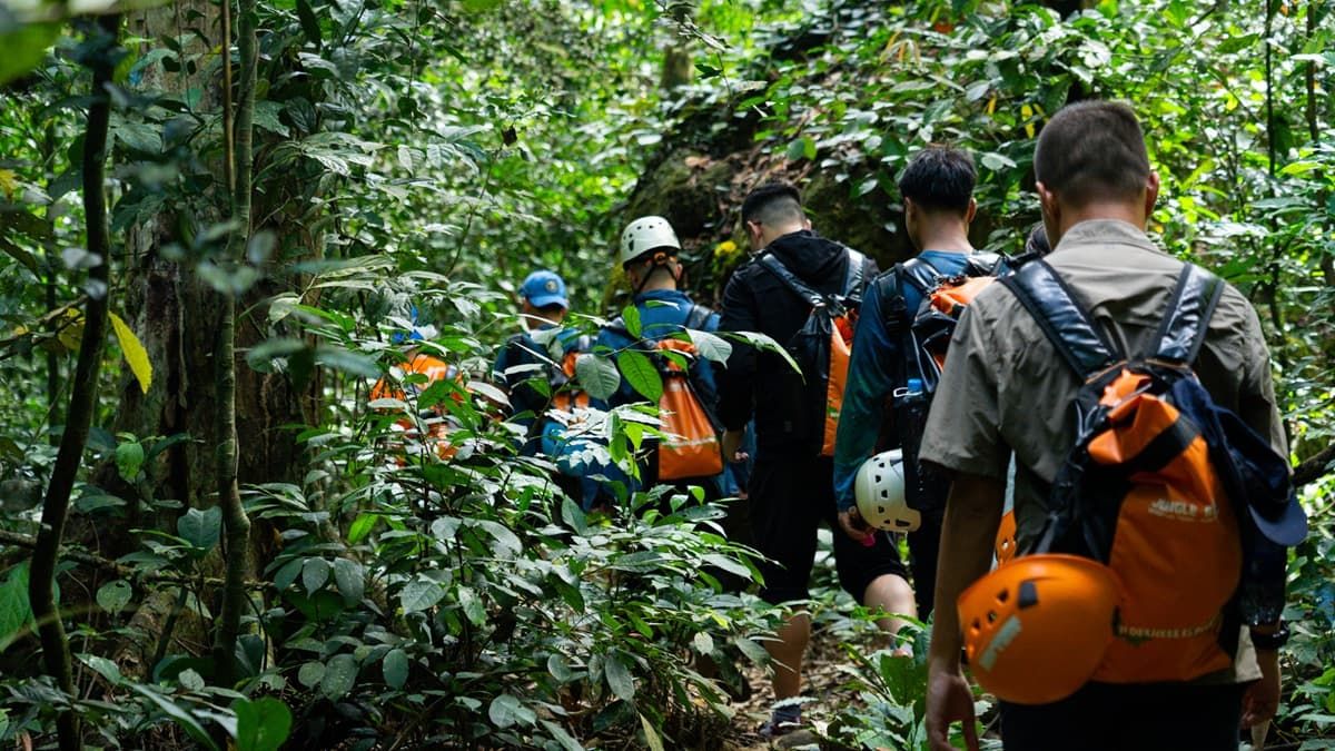 A group trekking in the Phong Nha jungle