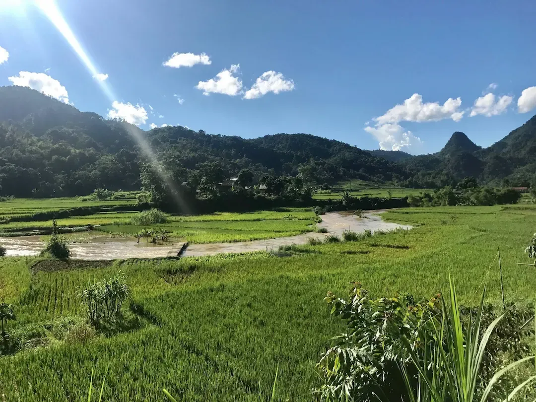 Panoramic view of expansive green rice valley at Pu Luong with limestone mountains, flowing river, and scattered villages