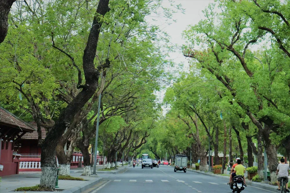 đường phố huế