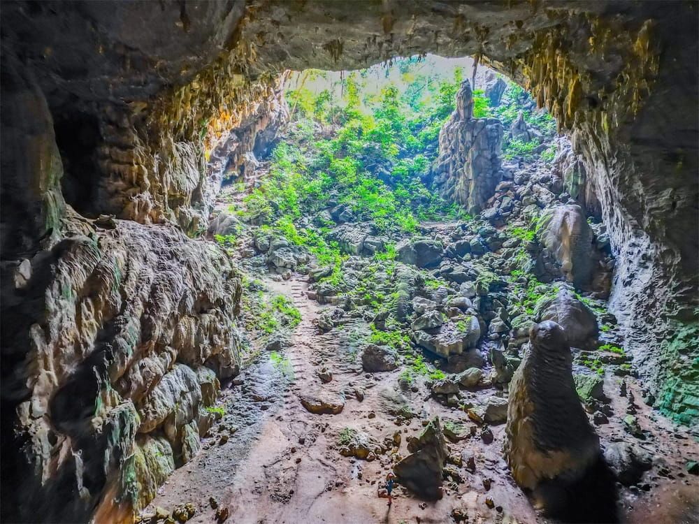 6. Elephant Cave Entrance Covered With Lush Greenery, Leading Into a Rocky Terrain.