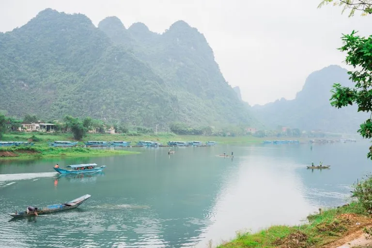 tron bo huong dan den phong nha