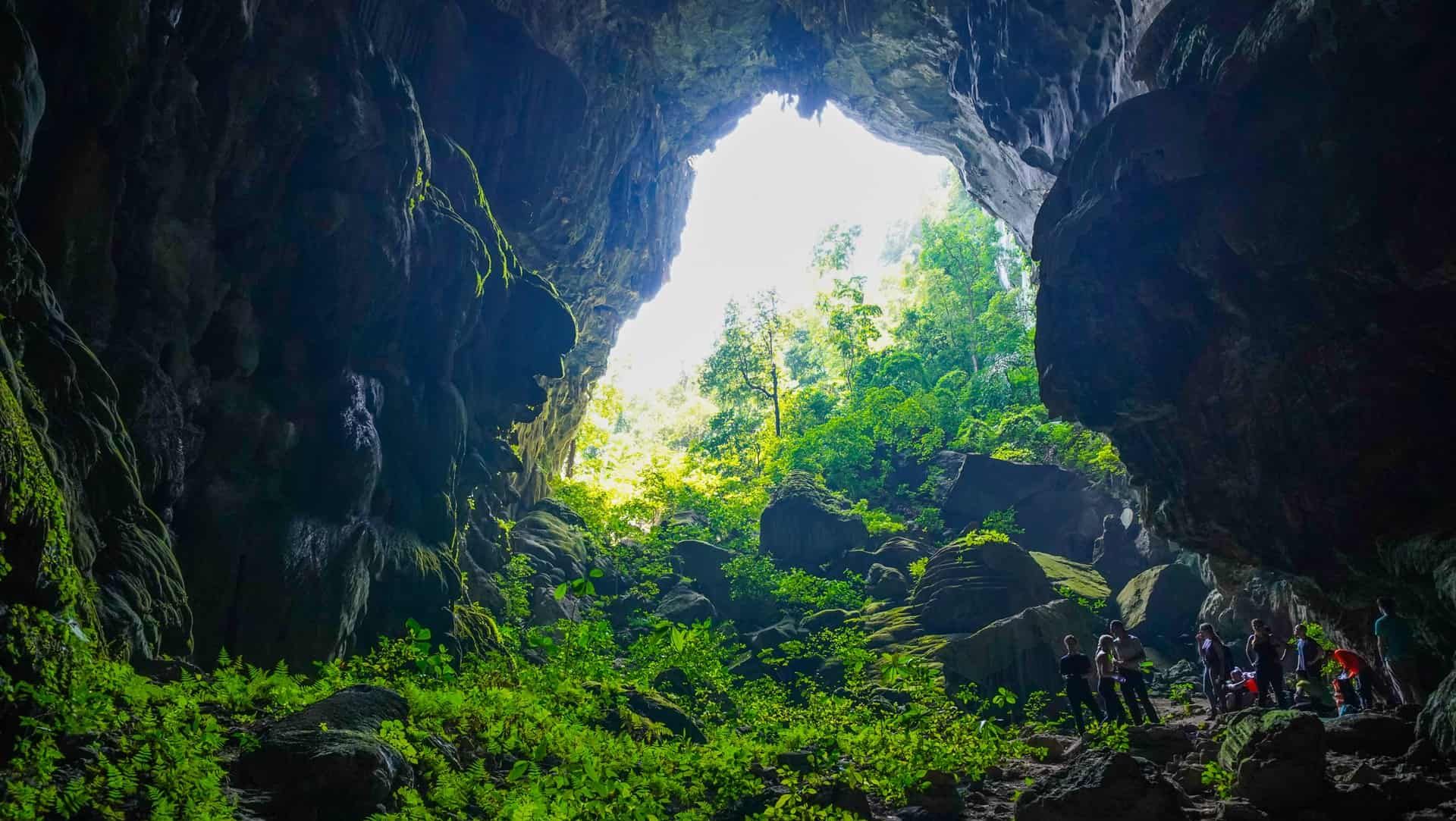 Cửa Hang Voi Nhìn Ra Thảm Thực Vật Xanh Tươi Hùng Vĩ