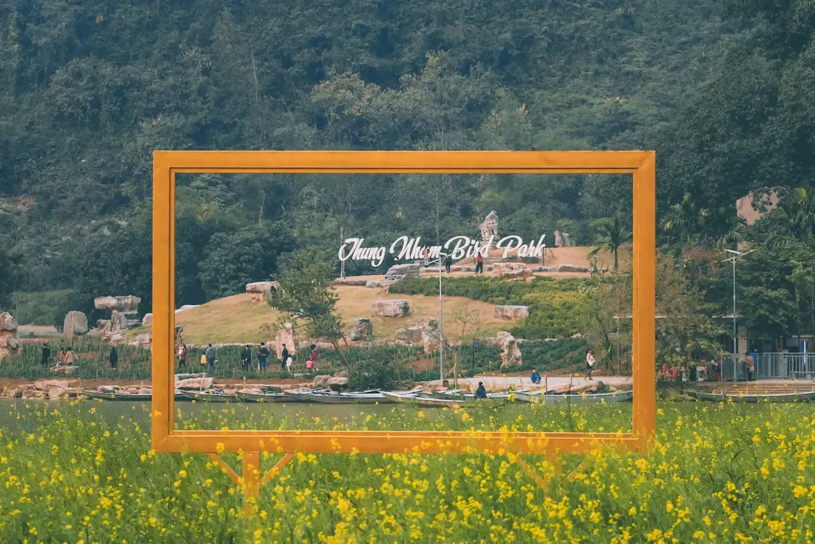 vườn hoa cải thung nham