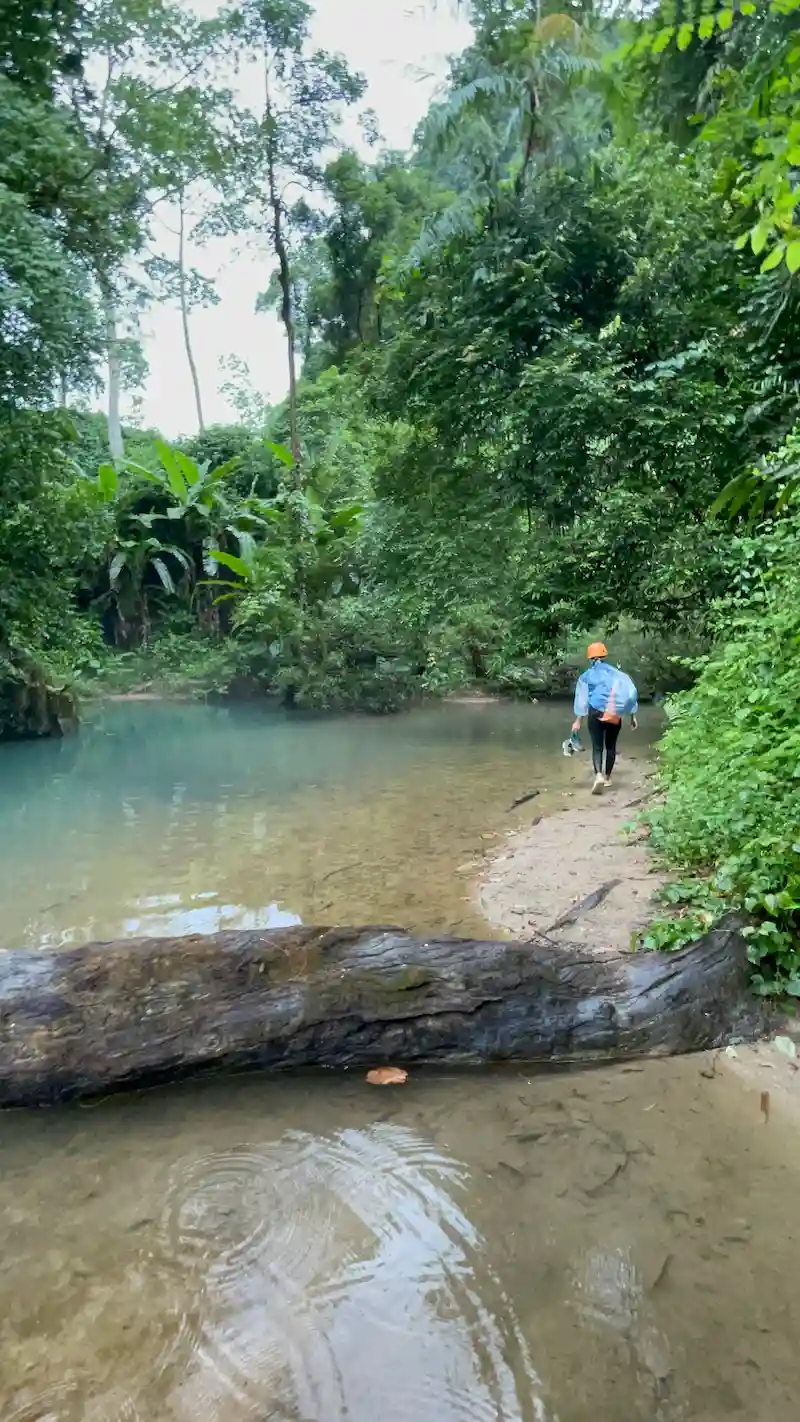 Guided trekking group crossing a stream in Phong Nha during the wet season
