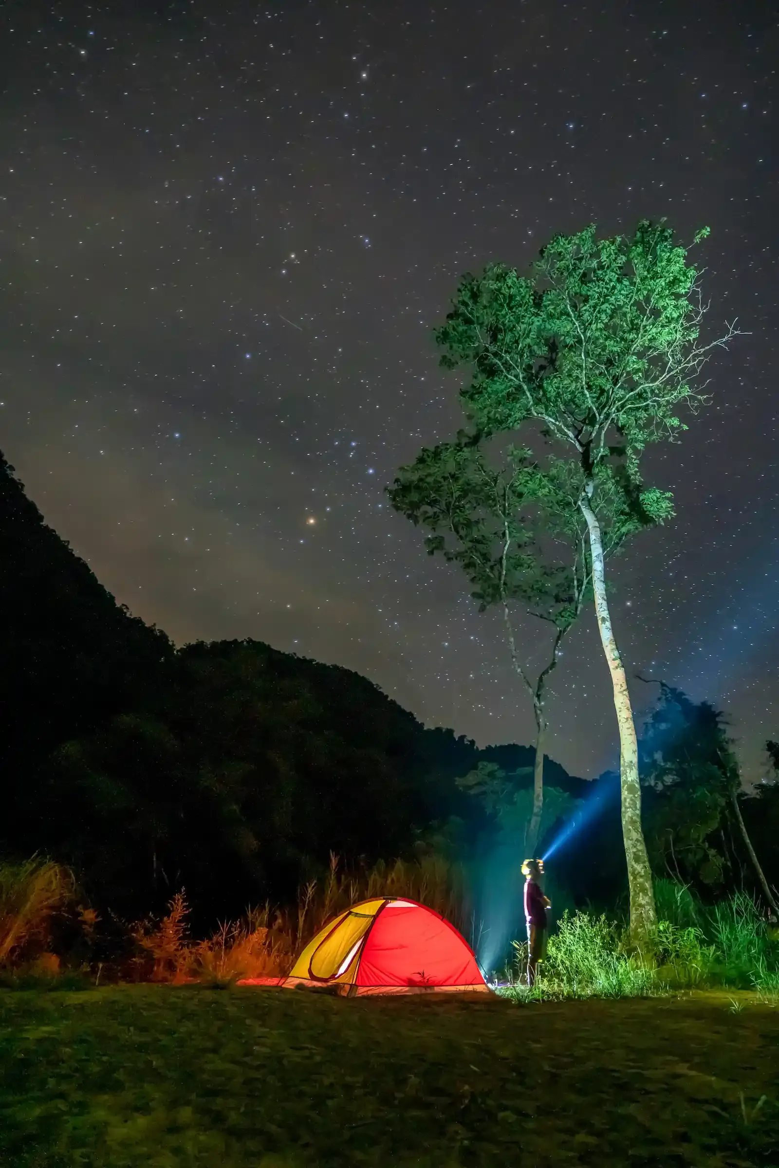 Jungle campsite with glowing tent under a star-filled sky on the Tu Lan Cave Expedition, an overnight caving and camping tour in Quang Binh, Vietnam