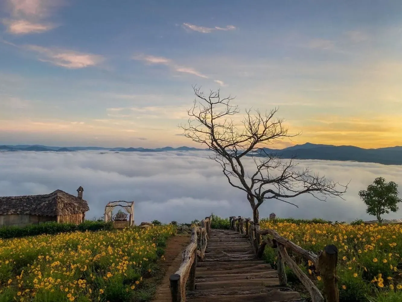 săn mây đà lạt