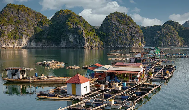 Floating Village, Cai Beo in Lan Ha Bay