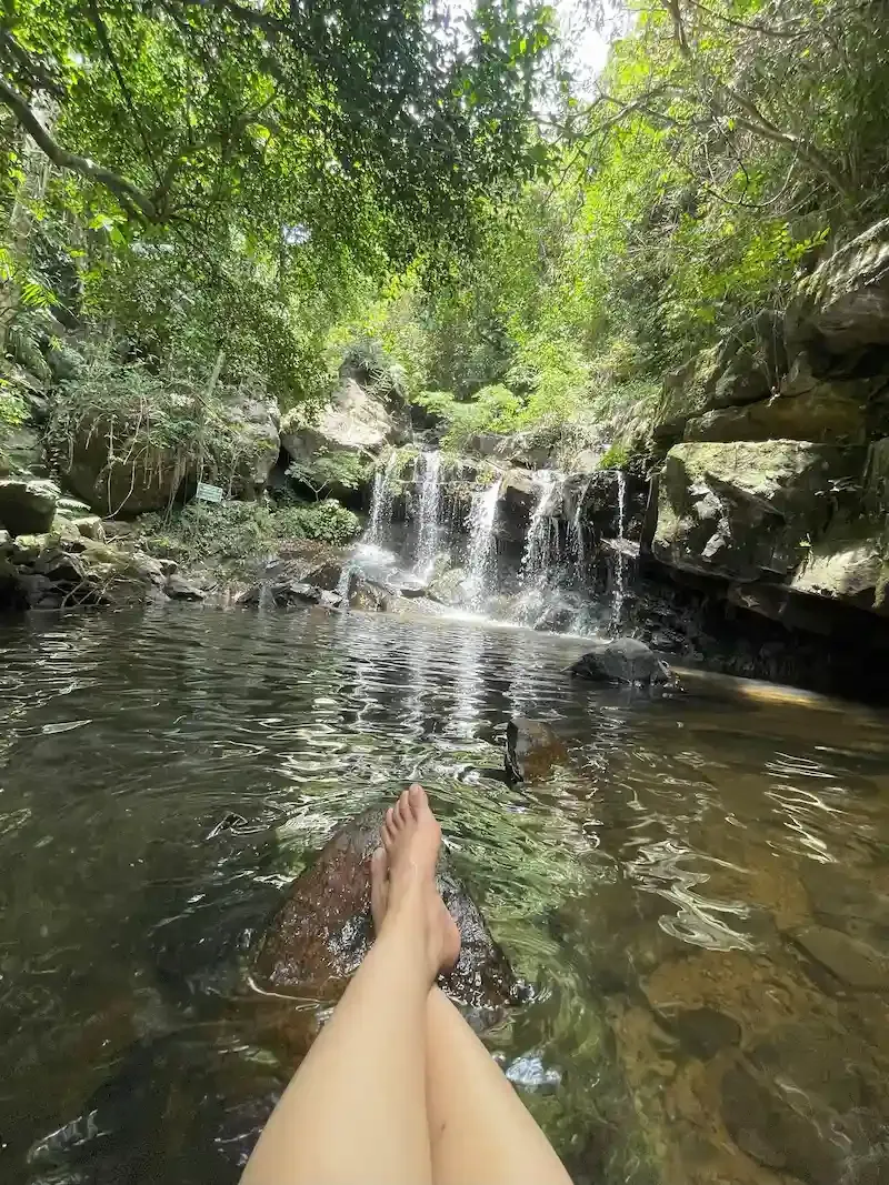 Botanic Gardens Is One of the Cheapest Things to Do in Phong Nha When You Are on a Budget