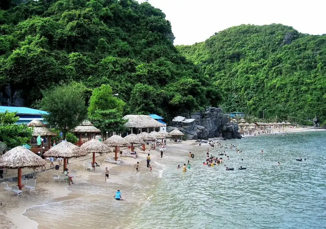 Lively Beach at Monkey Island Cat Ba With Tourists Swimming and Thatched Umbrellas in Lan Ha Bay Vietnam.