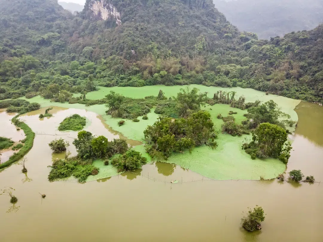 Aerial view of green nesting islands and wetlands at the Thung Nham Bird Park sanctuary.