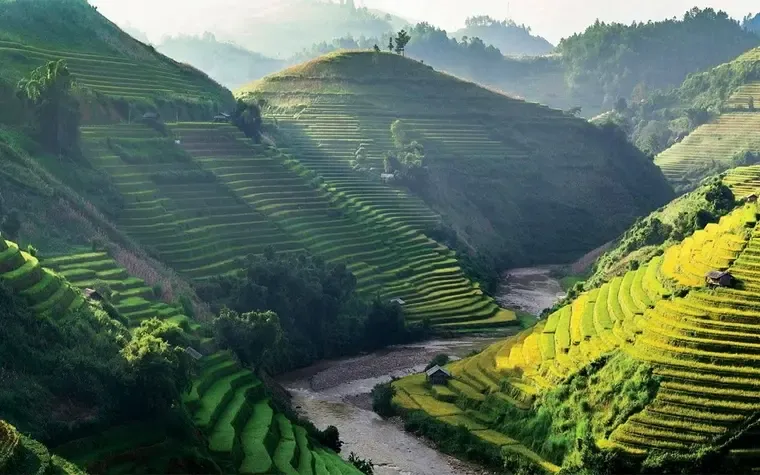 the Rice Fields of Sapa Are Not as Steep as It Looks and They Are Quite Wide