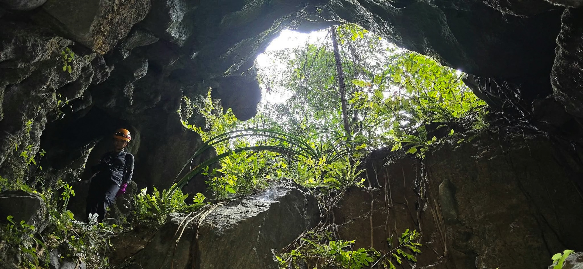 Caver beneath a dark rock overhang beside trees growing toward the daylight