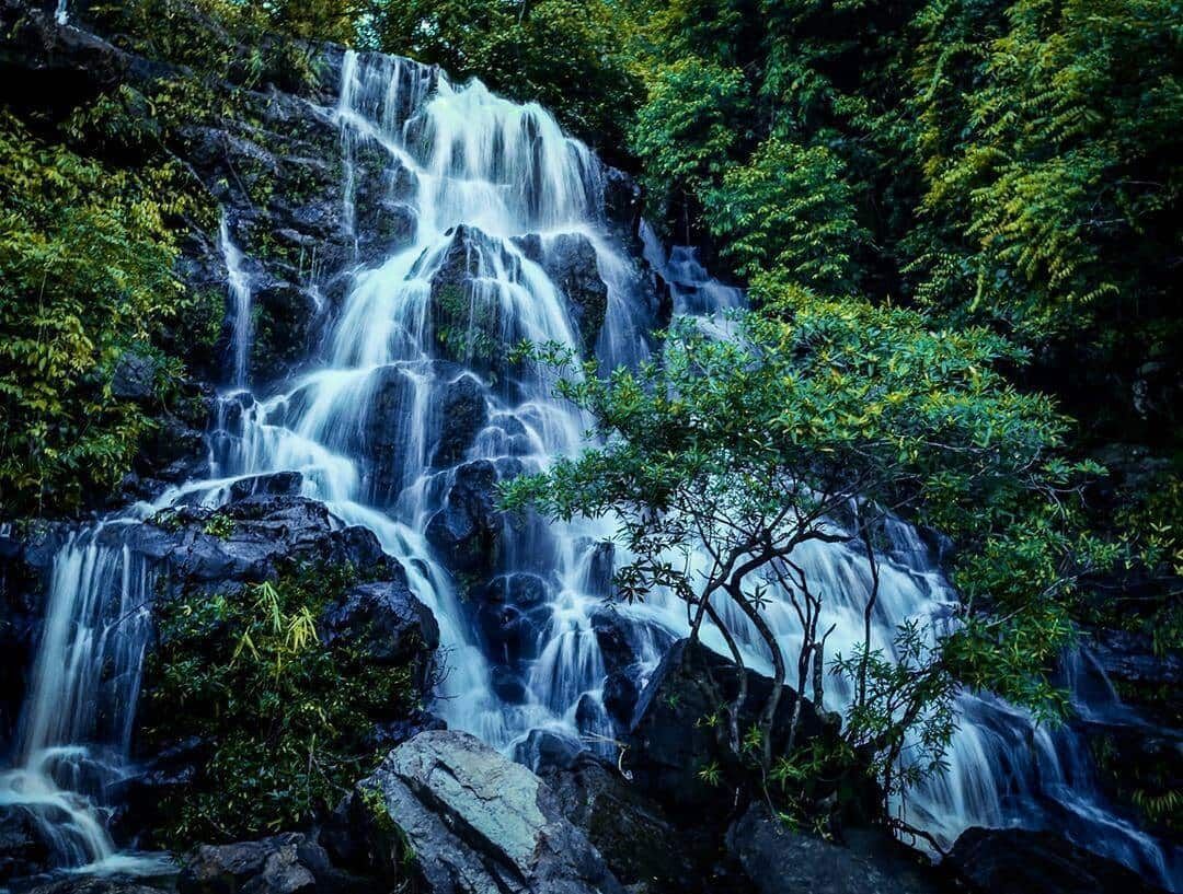 Majestic View of Gio Waterfall Cascading Down Rocks Surrounded by Dense Foliage.