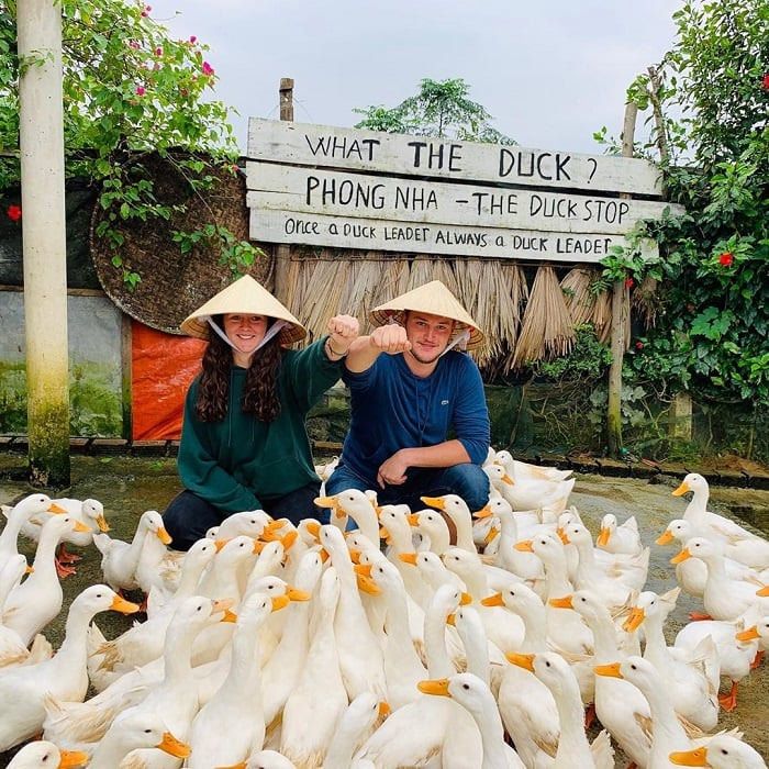 Two Visitors Wearing Traditional Conical Hats Surrounded by Ducks at the Duck Stop in Phong Nha, Vietnam, With a Playful Sign in the Background.