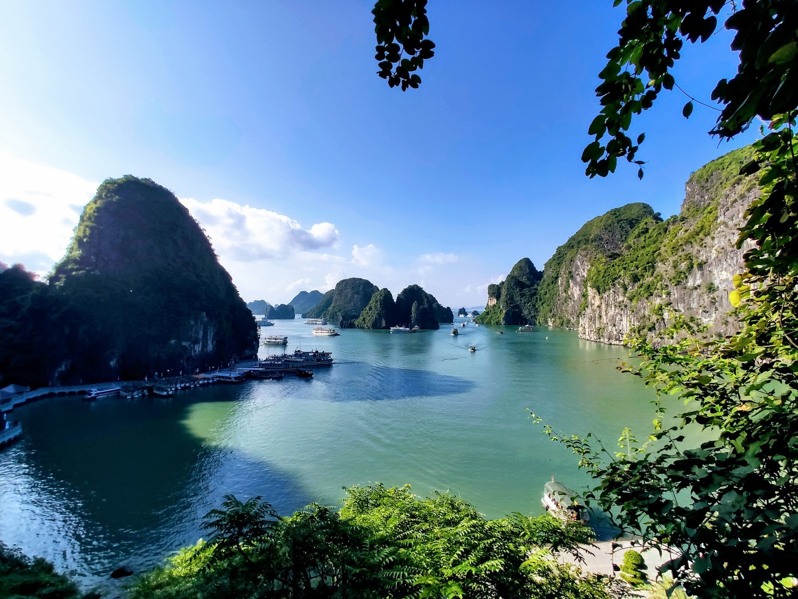 Ha Long Bay seen from a hillside viewpoint through foliage