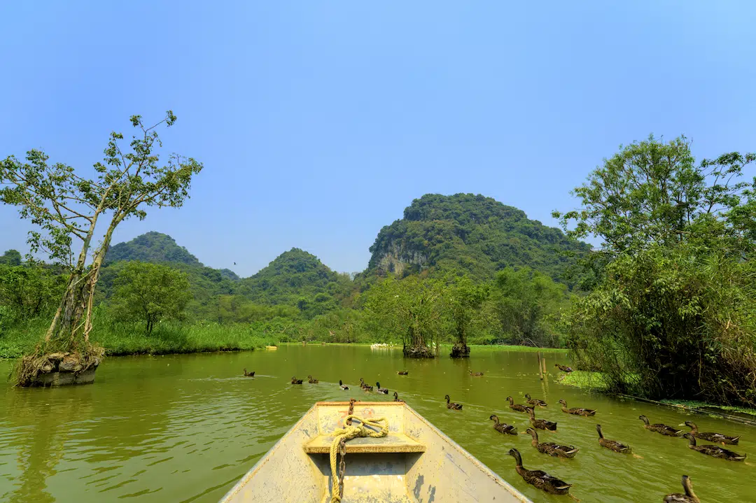 thung nham ninh binh le guide 2026 pour explorer les grottes observer les oiseaux et fuir la foule