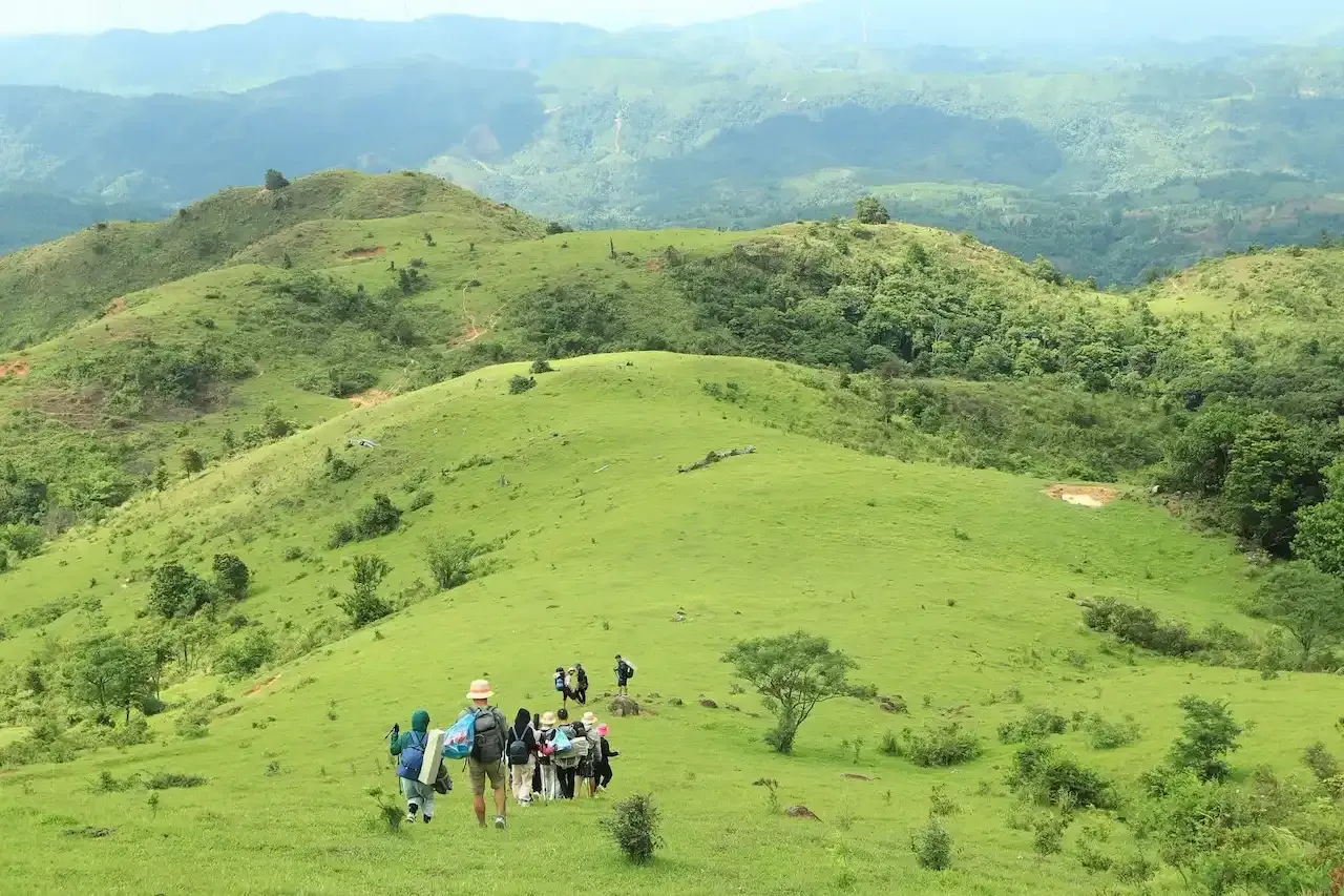 đồng cỏ xa reng