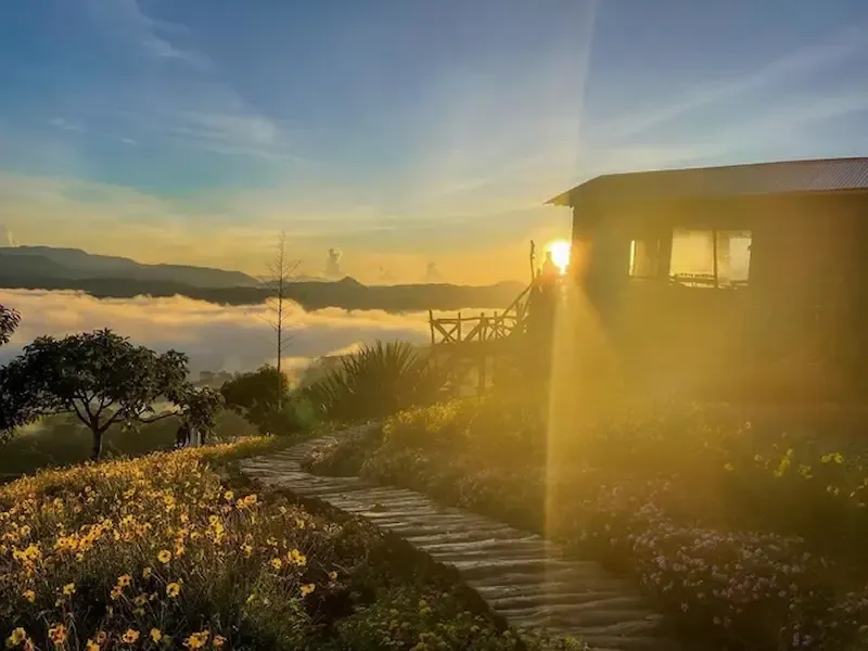 Dalat at the Start of Winter Looks Like Heaven With the Cloud Cover