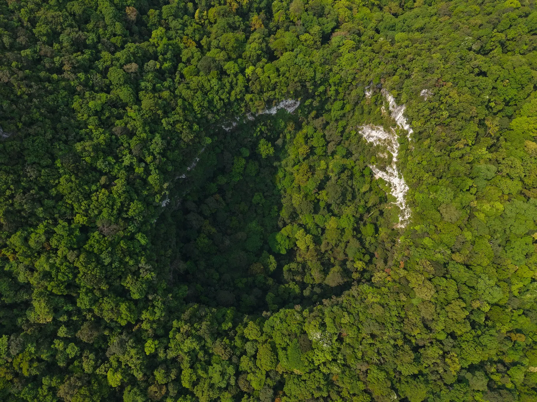 phong nha sinkhole discovered 120 m deep 2026