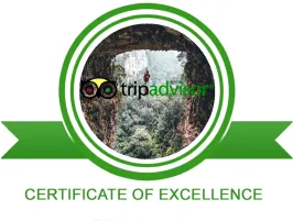 trip advisor certificates of excellence 2020