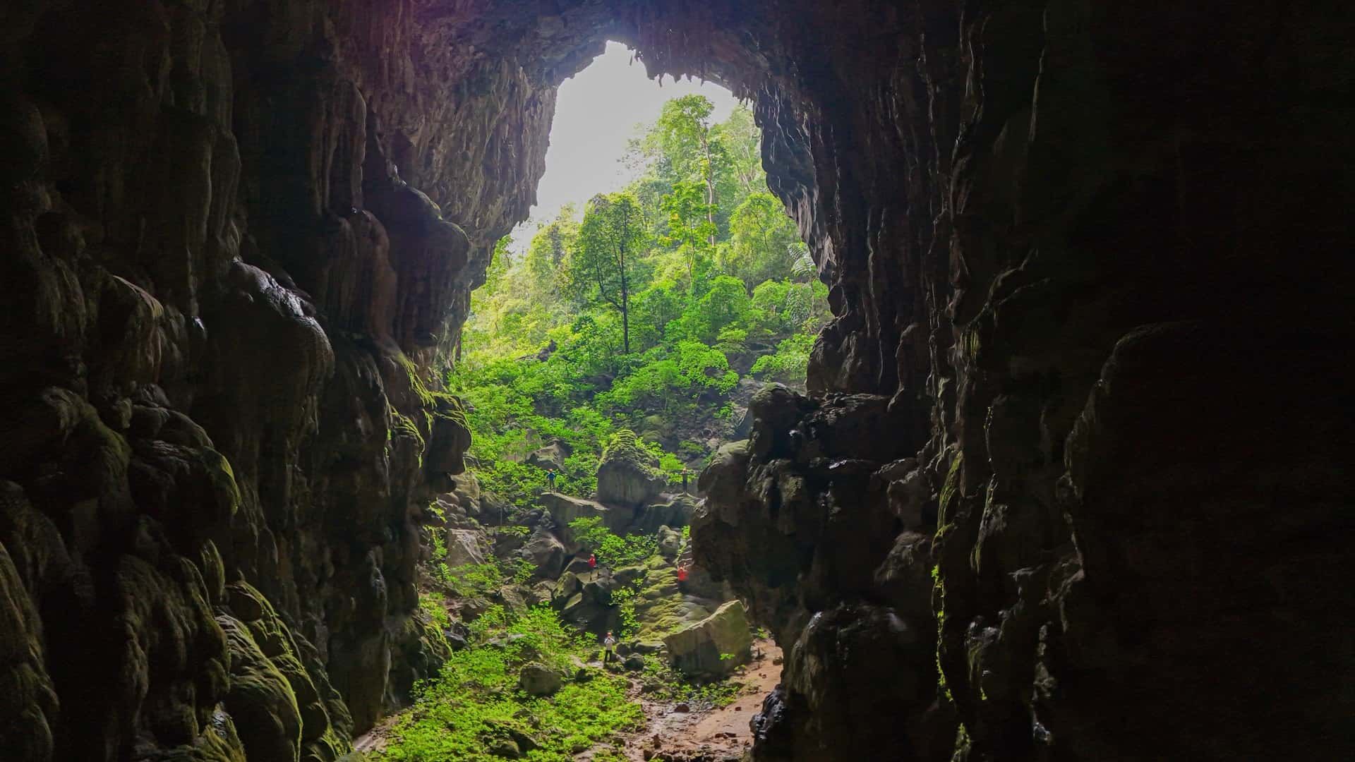 Elephant Cave - Beautiful natural scenery of Vietnam at Phong Nha Ke Bang
