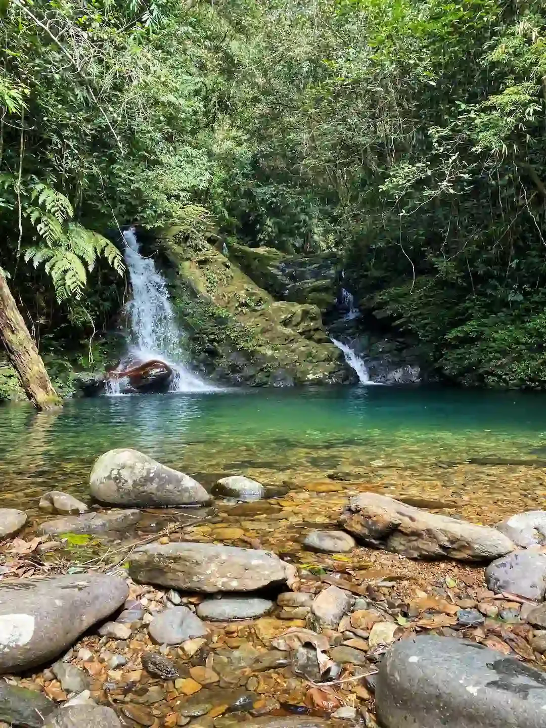 a Waterfall in Bach Ma National Park in Vietnam