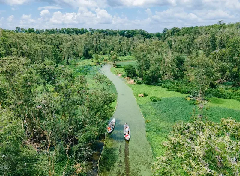 Tra Su Cajuput Forest, Mekong Delta, Vietnam