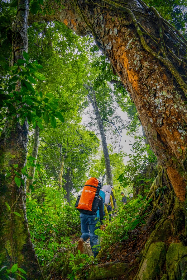 Trekker carrying a large orange dry bag pack on a jungle trail