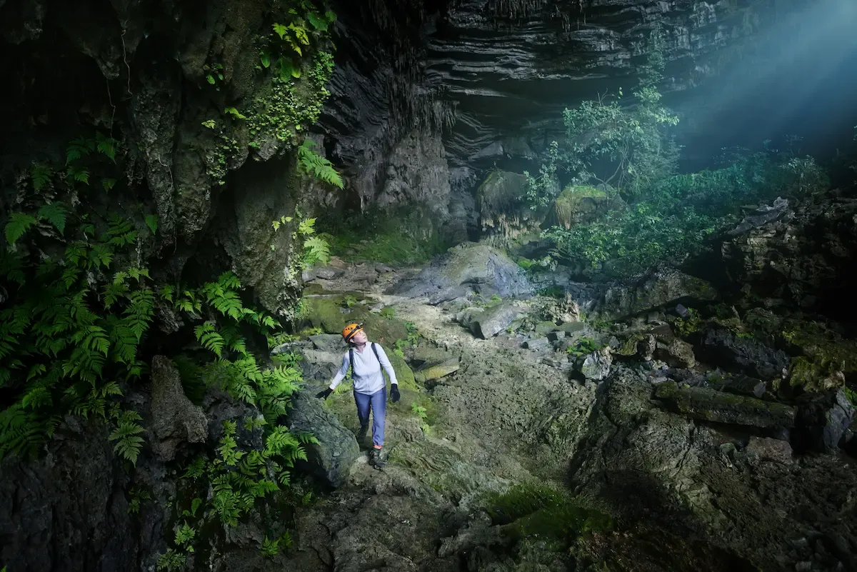 Caver exploring a fern-covered passage near a skylight in Tu Lan cave, Phong Nha, surrounded by mossy limestone walls and soft daylight
