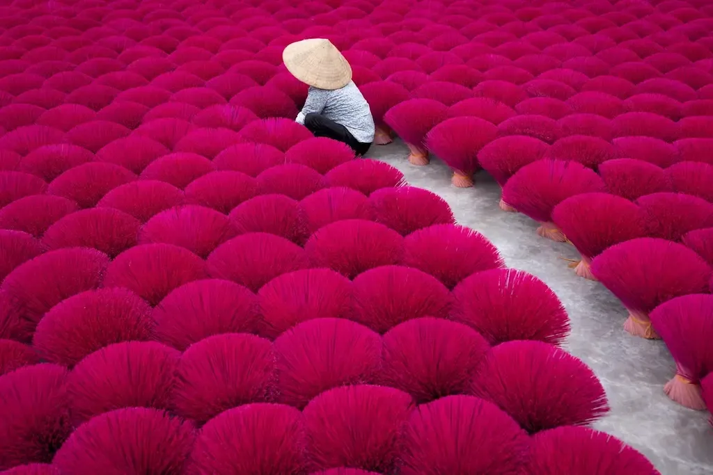 a Solo Worker in the Quang Phu Cau Incense Field