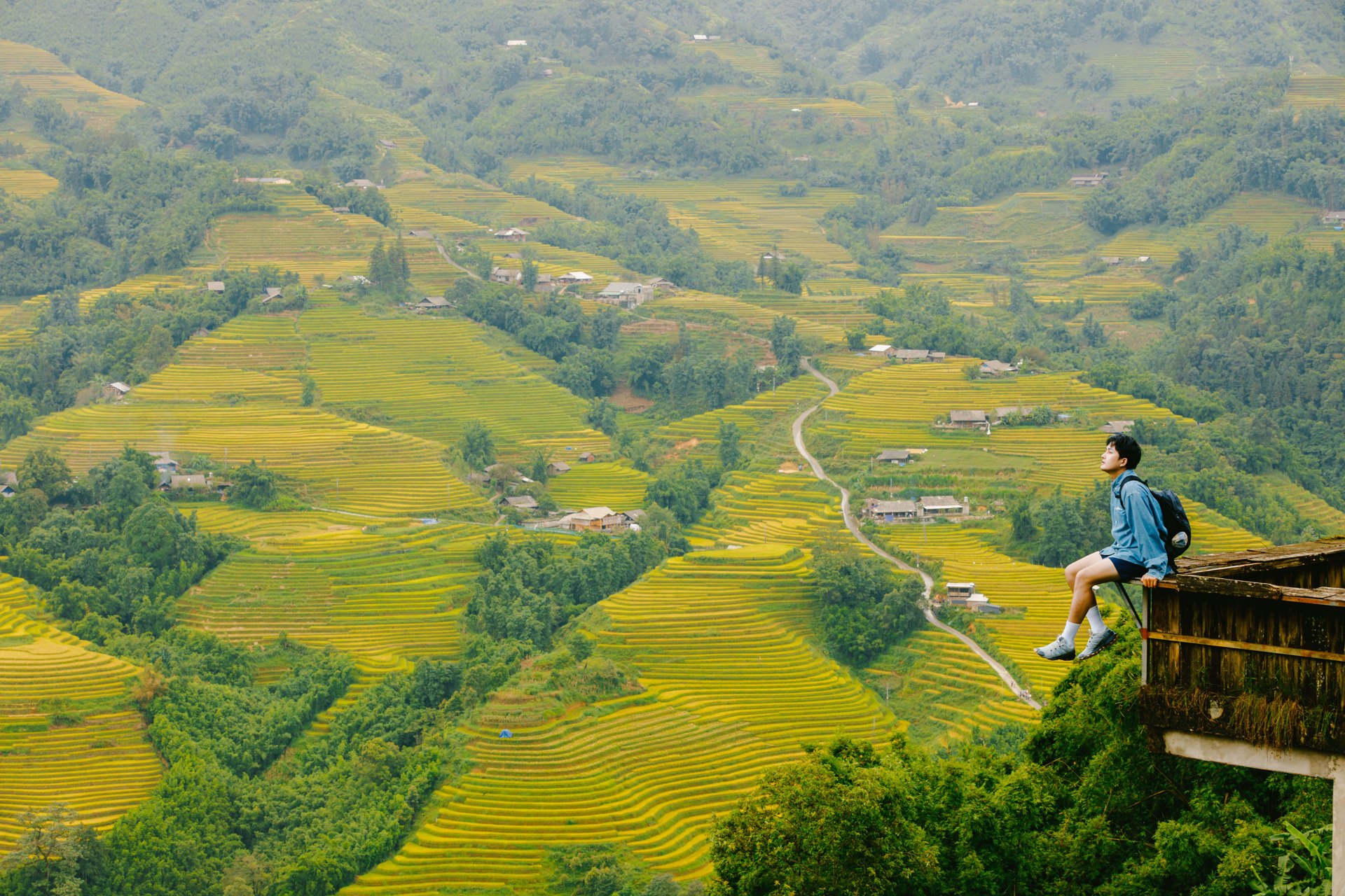 Traveller with a backpack sitting on a ledge above yellow rice terraces