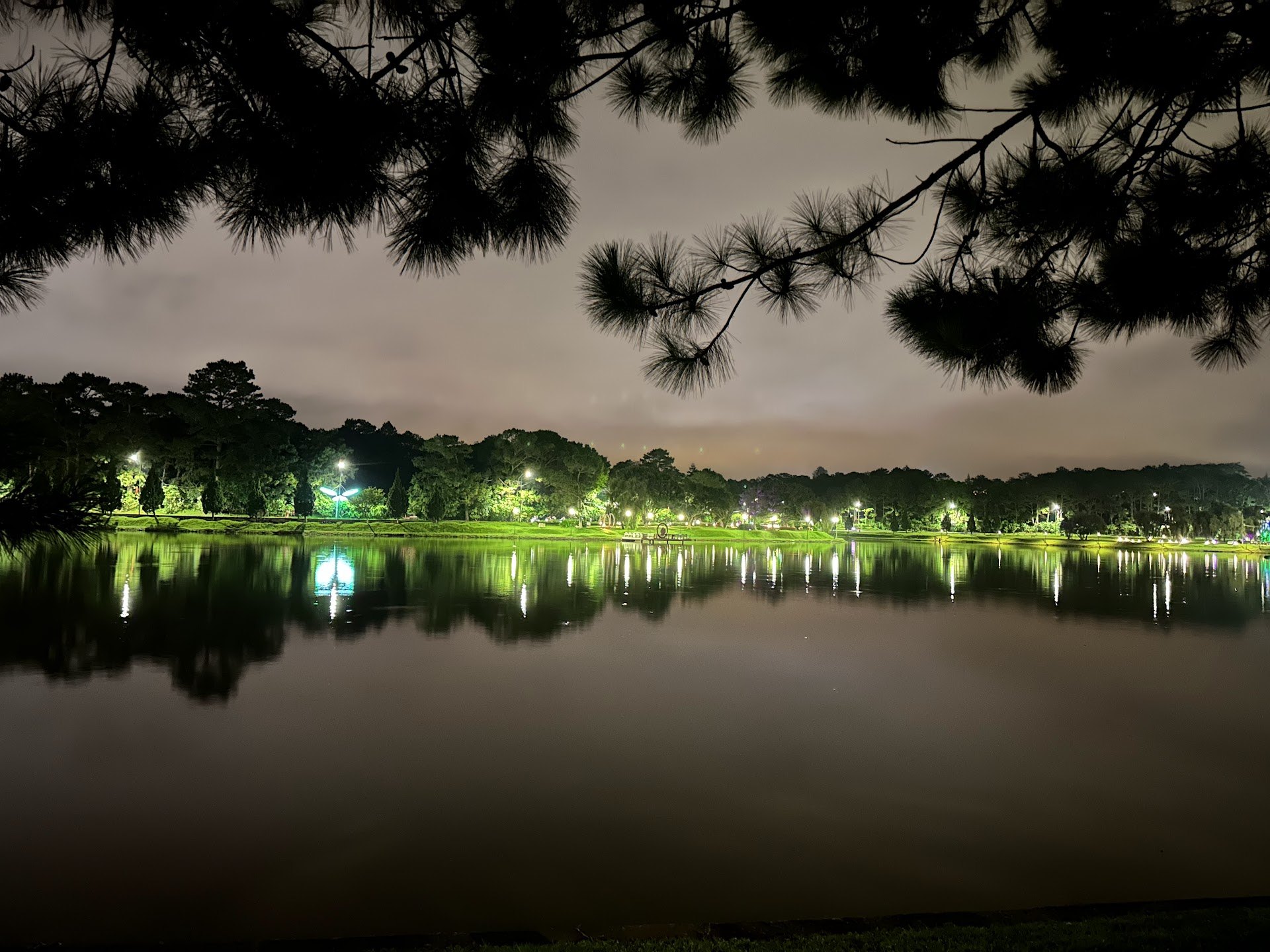 Xuan Huong Lake in Da Lat at night framed by pine branches