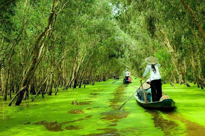 People Rowing Boats Through a Green, Tree Covered Waterway in a Lush, Tropical Forest in Mekong Delta, Vietnam